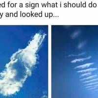 learned to drive from video games video.html - 1 HD Video | Premium Gallery 2020