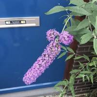 bella thorne as sexy little red riding hood 14 pics.html - 14 HD Photos | Premium Gallery 2021