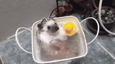 You’re Gonna Enjoy These NSFW Facts!