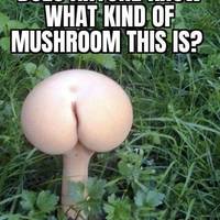 grownup corner 62 pics.html - 62 HD Photos | Premium Gallery 2021