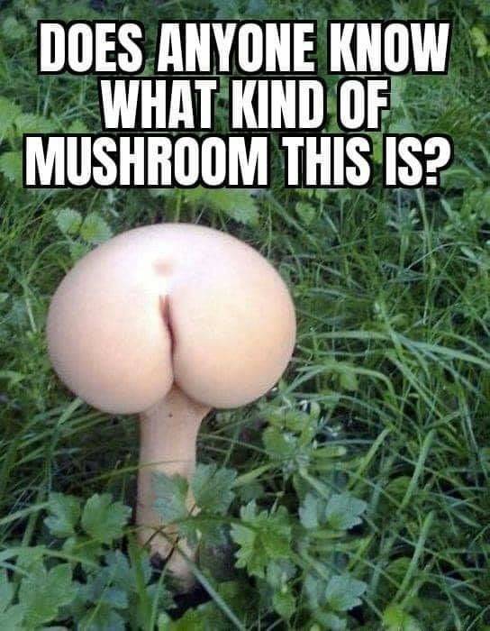 Dirty Mind, Come Here!