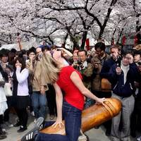 looks like its a bit cold outside 50 pics.html - 50 HD Photos | Premium Gallery 2020