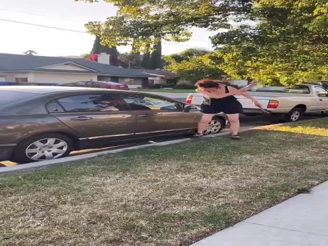 What A Great Neighbor!