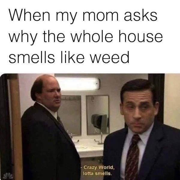 These Memes Are Kinda Stoned…
