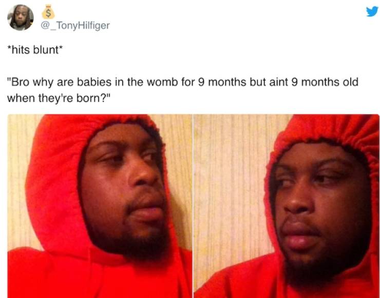 These Memes Are Kinda Stoned…