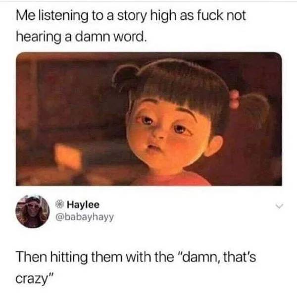 These Memes Are Kinda Stoned…