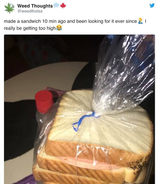 These Memes Are Kinda Stoned…