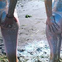 just look at those hips and waists 47 pics.html - 47 HD Photos | Premium Gallery 2021