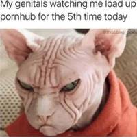 mongolian beauties have that exotic cute factor 44 pics.html - 44 HD Photos | Premium Gallery 2015