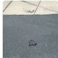 a bootyfull collection of girls 50 pics.html - 50 HD Photos | Premium Gallery 2021