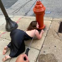 the landscape is mesmerizing video.html - 1 HD Video | Premium Gallery 2021