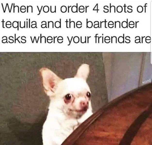 Need Some Salt With These Tequila Memes?