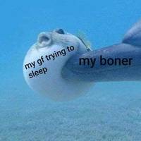 bikini football video.html - 1 HD Video | Premium Gallery 2021