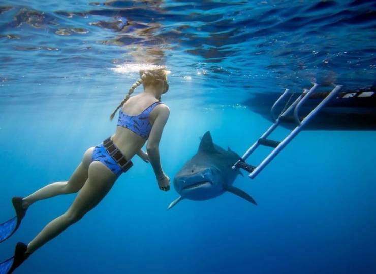 grownup corner 66 pics 17.html - 66 HD Photos | Premium Gallery 2020