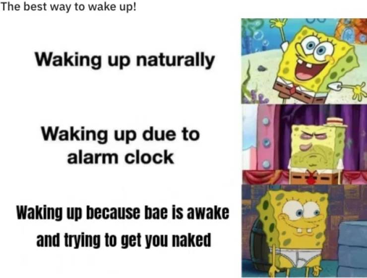 Ready To Enjoy The Sex Memes?