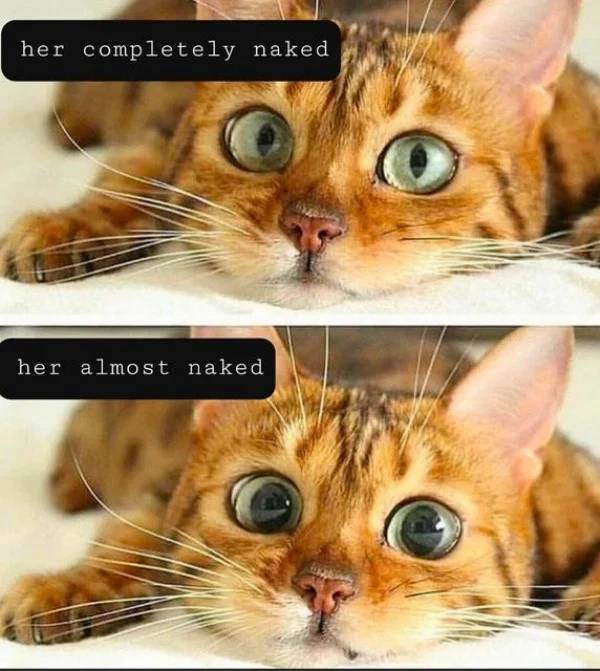 Ready To Enjoy The Sex Memes?