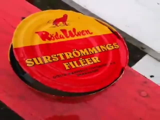 Everything You Need To Know About Surströmming…