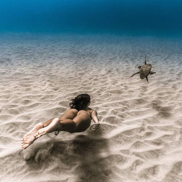 grownup corner 62 pics 14.html - 62 HD Photos | Premium Gallery 2020