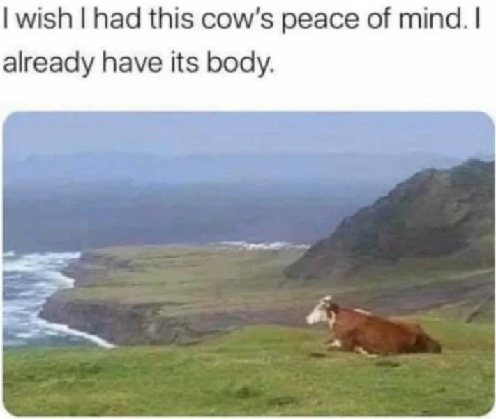 Start Your Morning With These Memes