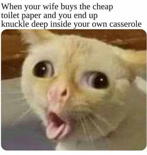 Start Your Morning With These Memes