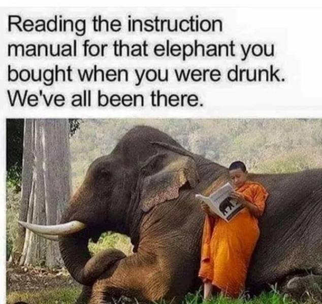 100% Wasted…
