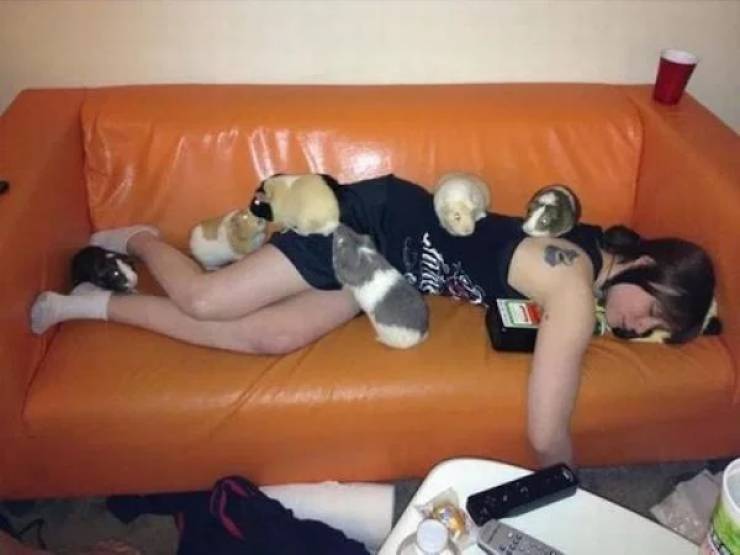 100% Wasted…