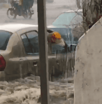 These Drivers Are Awful!