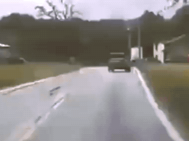these drivers are awful 20 gifs 6.html - 1 HD GIF | Premium Gallery 2020