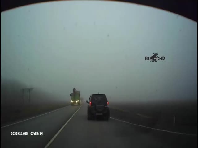 Fog Surprise!