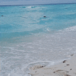 Girls Love Having Fun!