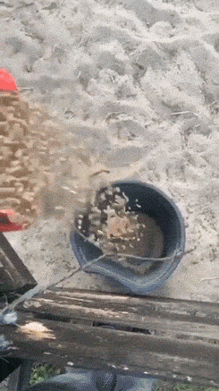 you can fail even if youre hot 26 gifs 8.html - 1 HD GIF | Premium Gallery 2020