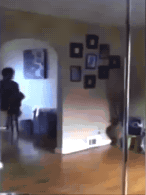 pole dancing is not as easy as it looks 19 gifs 8.html - 1 HD GIF | Premium Gallery 2020