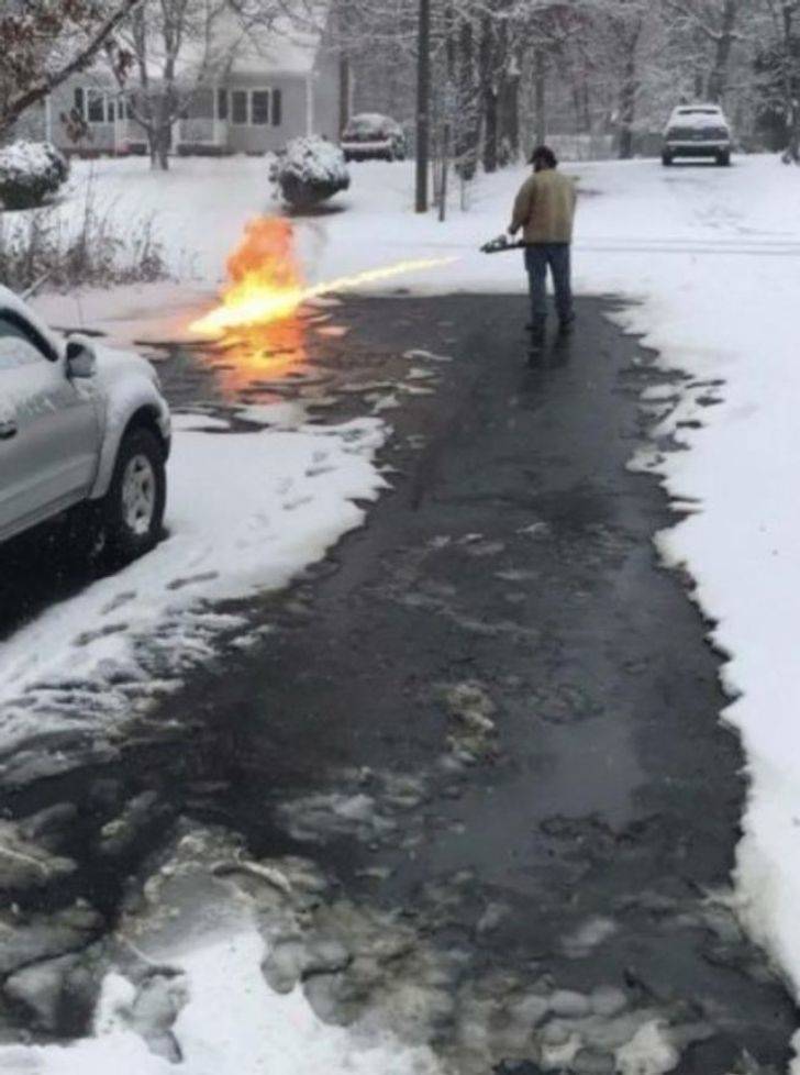 Just Look How Clever They Are!