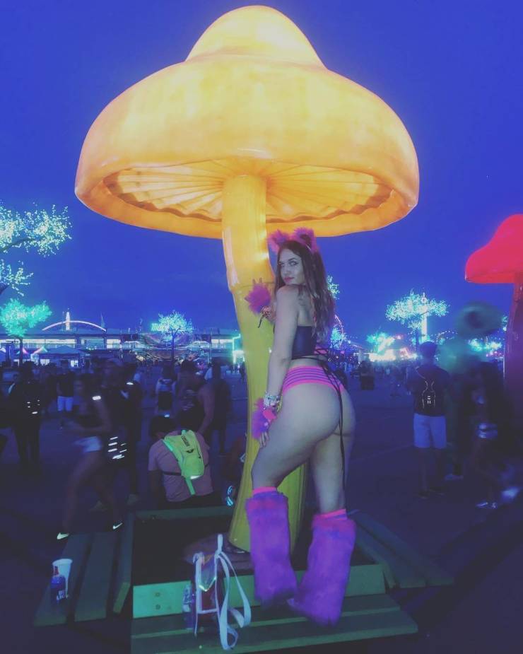 grownup corner 66 pics 5.html - 66 HD Photos | Premium Gallery 2020