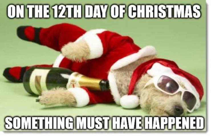 these memes are drunk 68 pics 29.html - 68 HD Photos | Premium Gallery 2020
