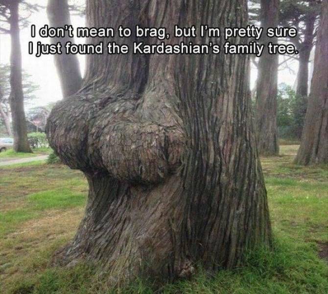 dirty minds assemble 107 pics 2 gifs 13.html - 107 HD GIF | Premium Gallery 2021