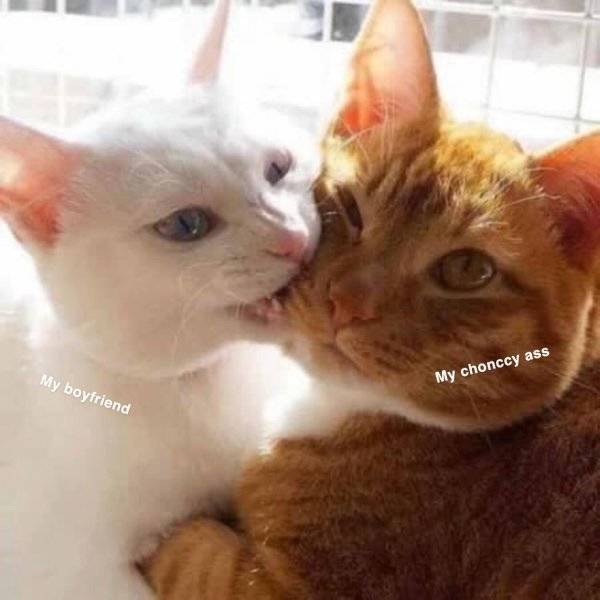dirty memes for your flirting needs 88 pics 3.html - 88 HD Photos | Premium Gallery 2021