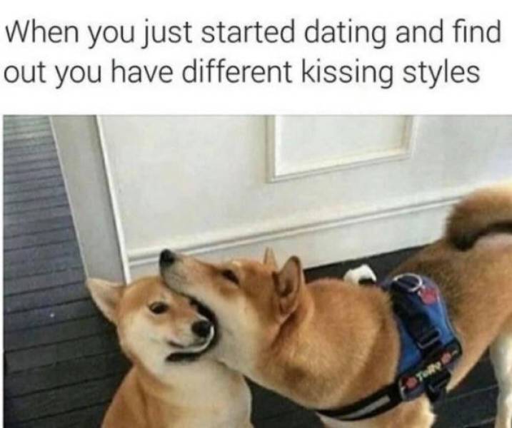 dirty memes for your flirting needs 88 pics 3.html - 88 HD Photos | Premium Gallery 2021