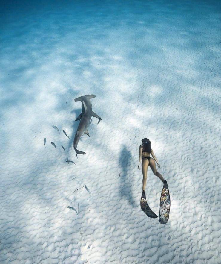 grownup corner 67 pics 18.html - 67 HD Photos | Premium Gallery 2021