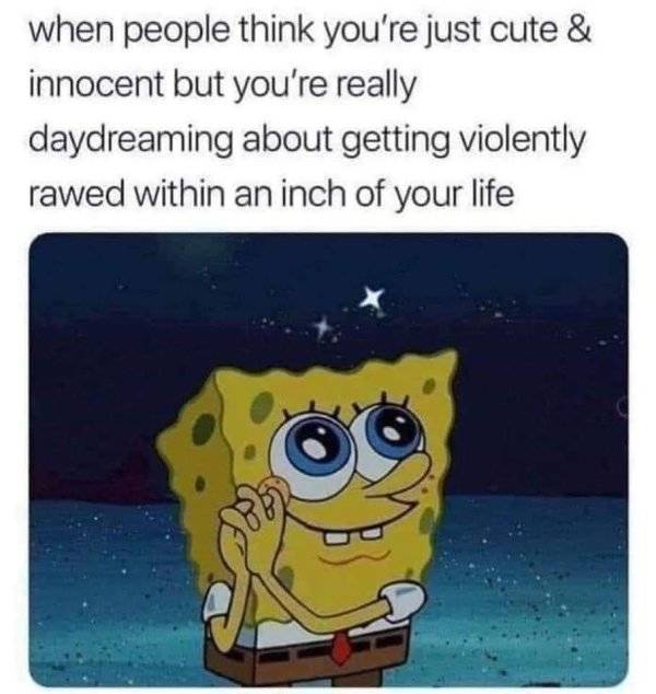 Everyone Likes NSFW Memes!