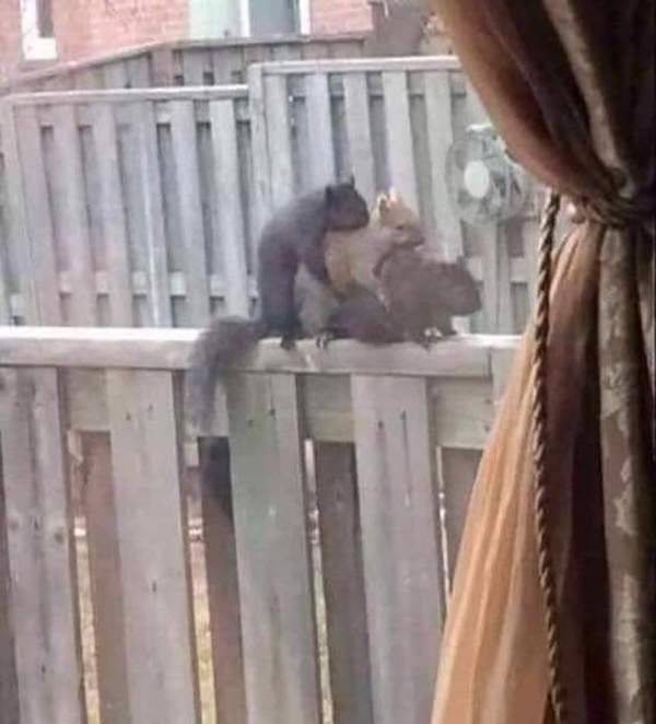 Dirty Minds, You Are Welcome!