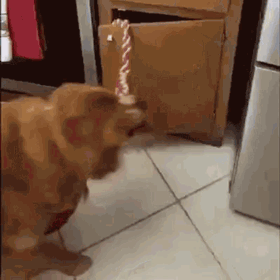 dirty minds you are welcome 67 pics 1 gif 3.html - 67 HD GIF | Premium Gallery 2021