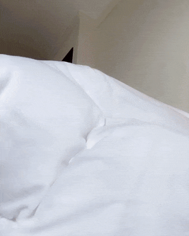 hot girls are here for you 48 gifs 2.html - 1 HD GIF | Premium Gallery 2021