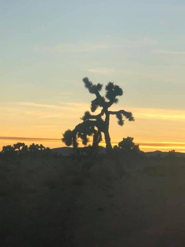 We Know Your Mind Is Dirty…