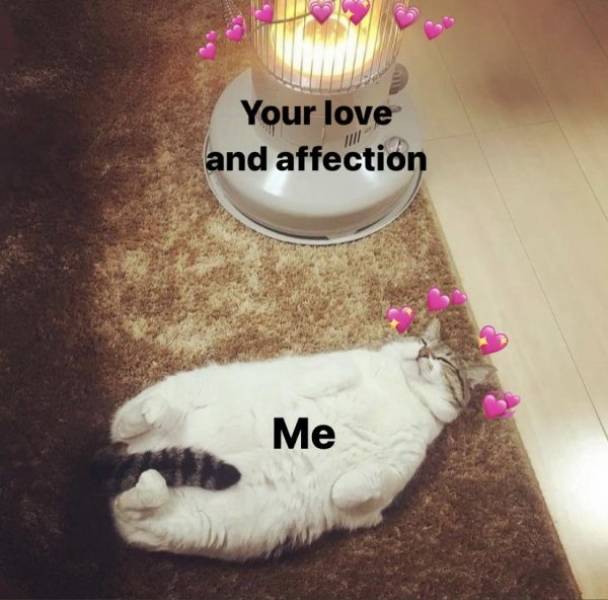 Send These Spicy Memes To Your Special One