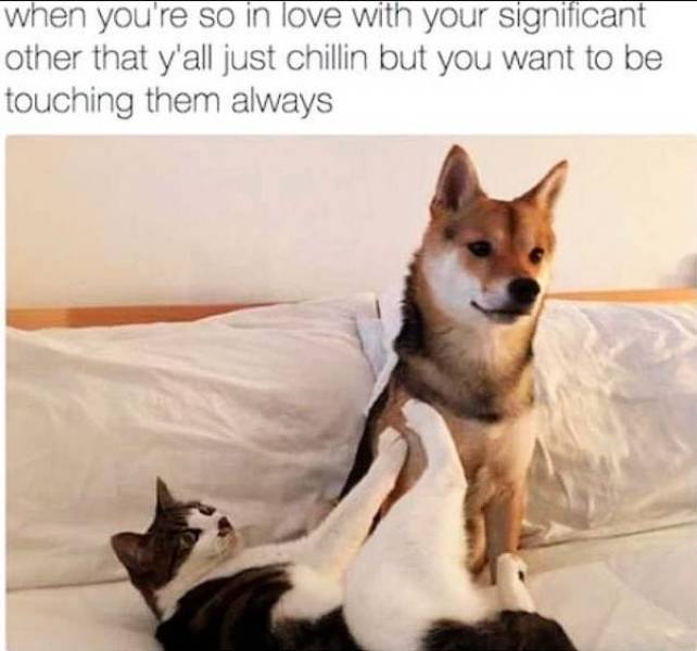 Send These Spicy Memes To Your Special One