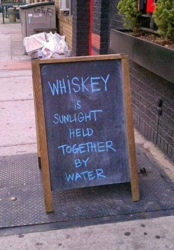 way too wasted 83 pics 30.html - 83 HD Photos | Premium Gallery 2021