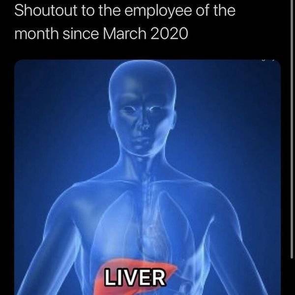 Wasted Or Not, It Doesn’t Matter