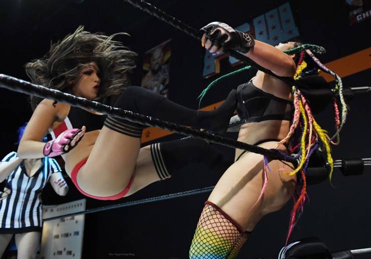 Las Vegas Lingerie Fighting Championships!