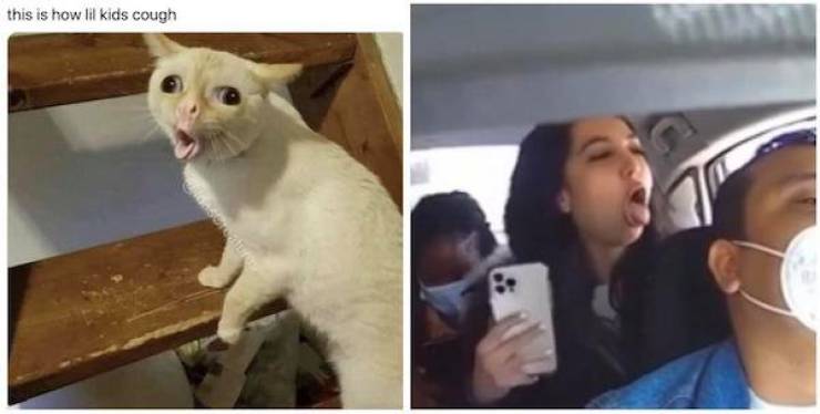 Now That’s Some Quality Trash!